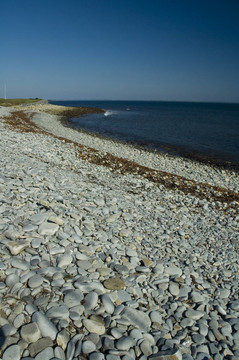 新斯科舍海岸；