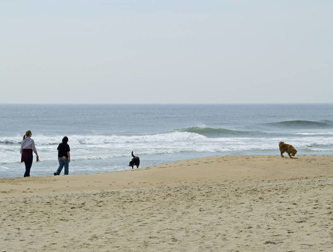 海灘散步