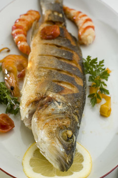 魚