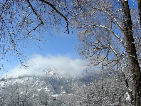 冰；雪和霧