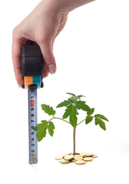 手動(dòng)測(cè)量植物生長(zhǎng)