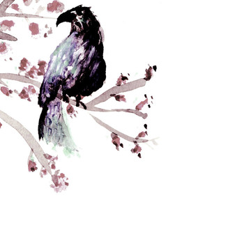 水彩紙鳥