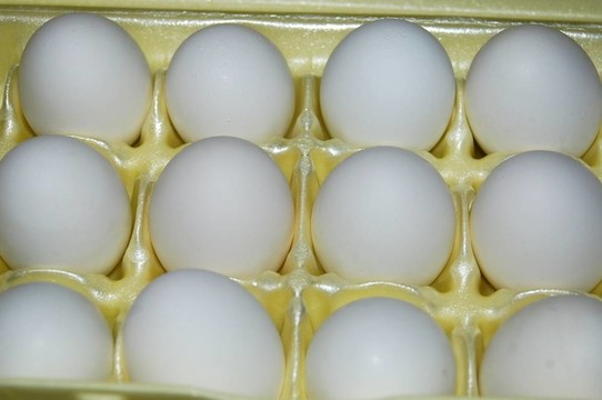 新的開(kāi)始
