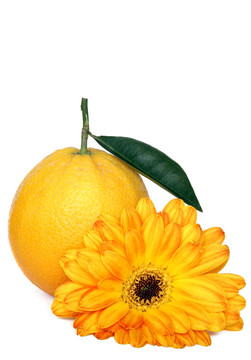 橙花