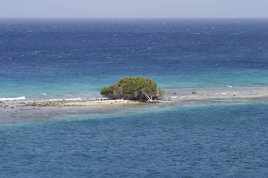 荒島