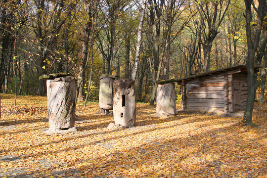 古代農(nóng)村養(yǎng)蜂場(chǎng)；蜜蜂花園秋天的景色