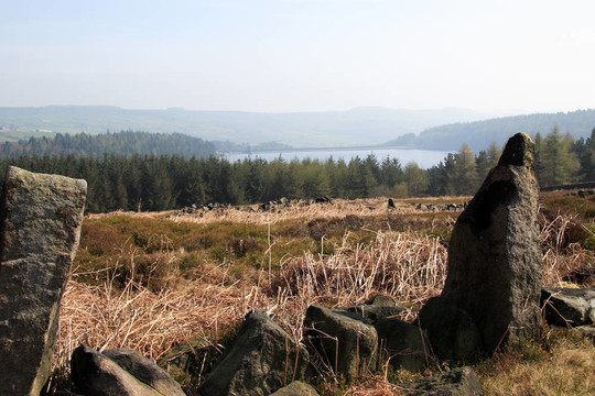 上述Moorland langsett水庫