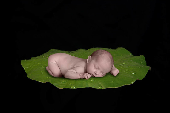 禮來墊嬰兒