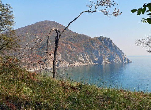 海和Cape