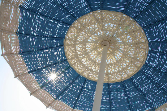 在陽傘