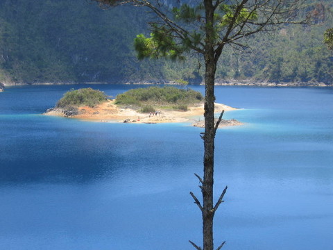 島上的一棵樹后面的瀉湖；Lagunas de蒙特貝羅；墨西哥