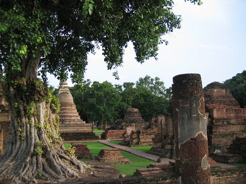 在一棵樹后面的舍利塔；素可泰；thailande