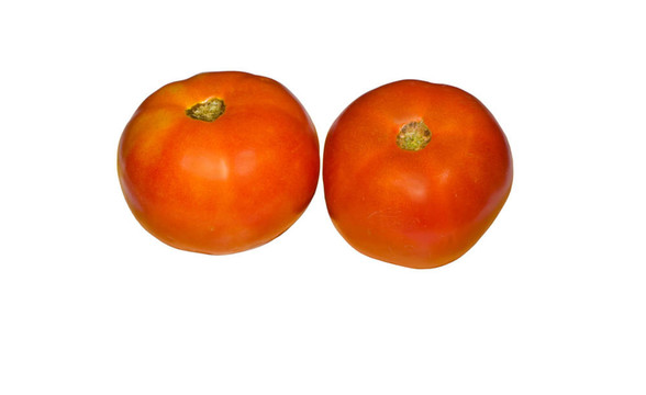 西紅柿