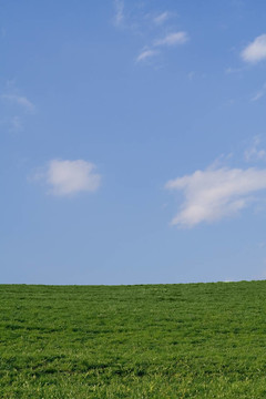 草地和藍(lán)天