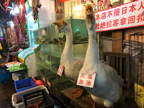 鳳凰古城