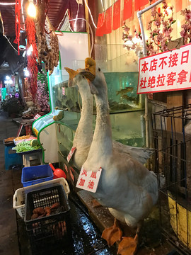 鳳凰古城