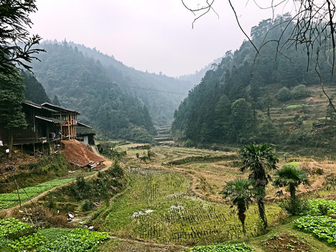 地筍苗寨