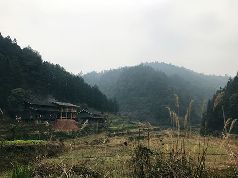 地筍苗寨