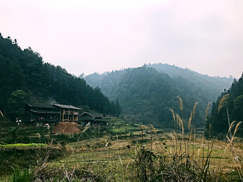 地筍苗寨