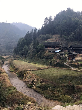 地筍苗寨