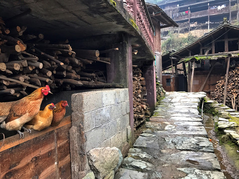 地筍苗寨