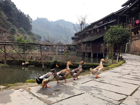 地筍苗寨