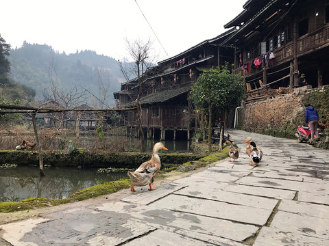 地筍苗寨