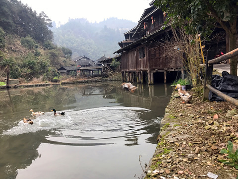 地筍苗寨