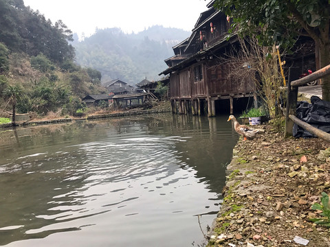 地筍苗寨