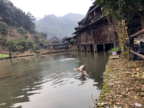 地筍苗寨