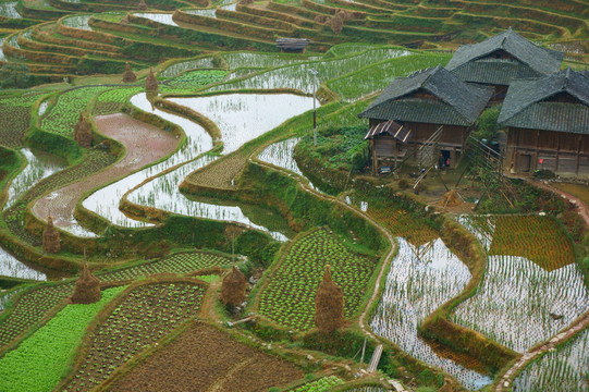 山寨