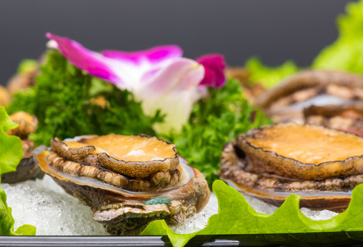 鮑魚