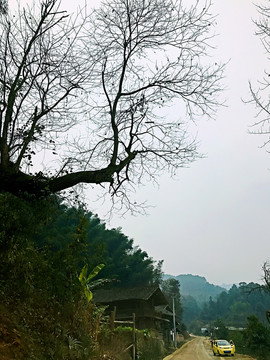地筍苗寨