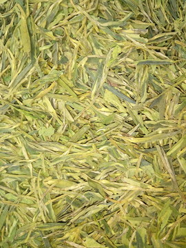 龍井散茶