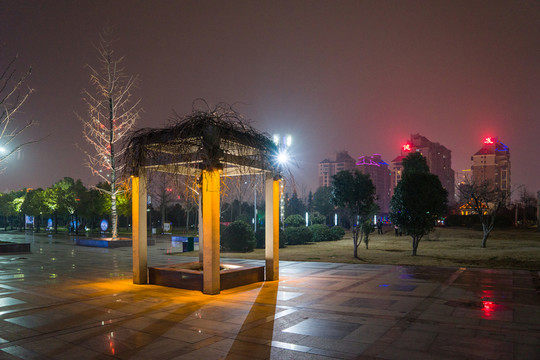 市民公園夜景