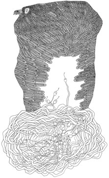 插畫(huà) 漫畫(huà) 未分層