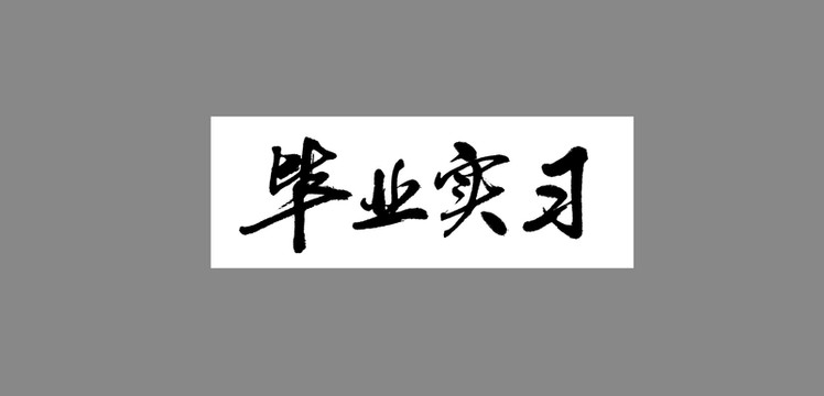 畢業(yè)實習