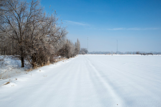 雪地農(nóng)田