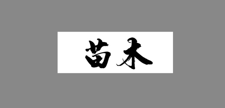 苗木