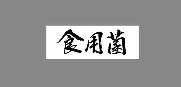 食用菌