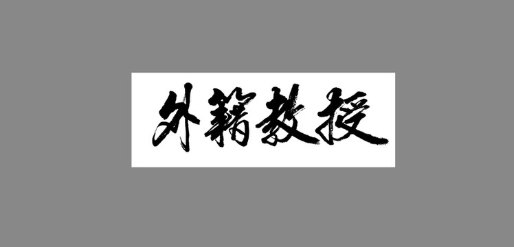 外籍教授