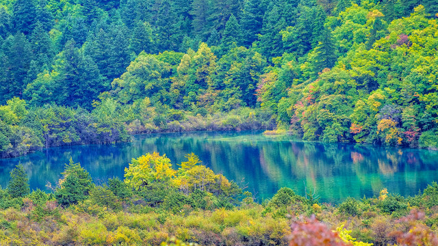 樹正群海 九寨溝