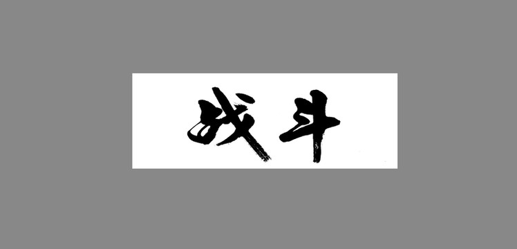 戰(zhàn)斗