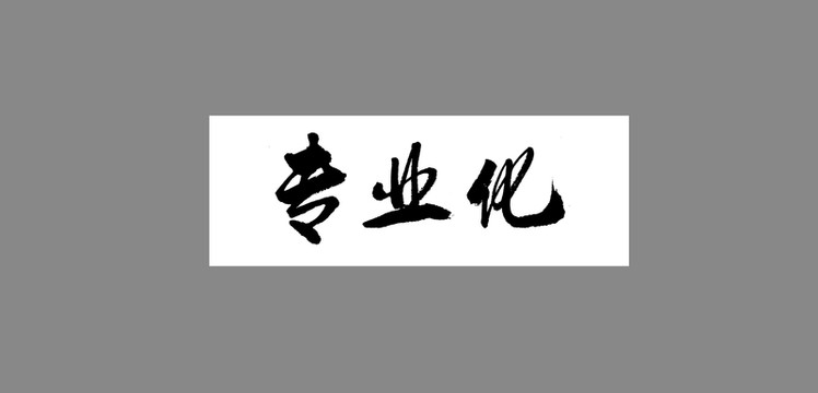 專業(yè)化