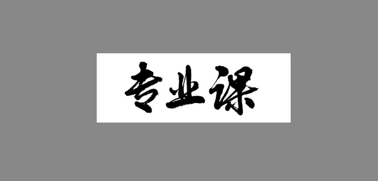 專業(yè)課