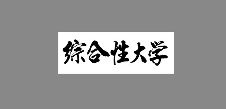 綜合性大學(xué)