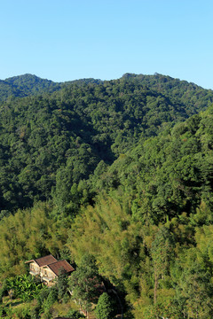 南昆山山林隱居