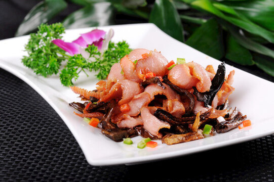 菌類松板肉