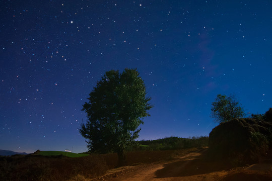 紅土地星空夜景