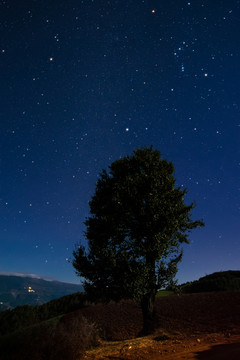 紅土地星空夜景